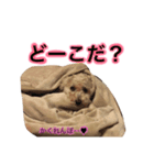 りょうまくん。（個別スタンプ：7）