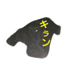 黒ラブ はなちゃん（個別スタンプ：13）