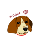 Beagle's Dog（個別スタンプ：6）