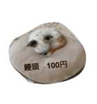 マメだけど…（個別スタンプ：11）