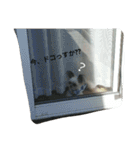 マメだけど…（個別スタンプ：12）