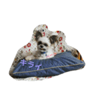 マメだけど…（個別スタンプ：13）