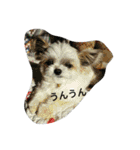 マメだけど…（個別スタンプ：32）