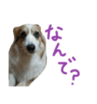 まいにちピーチ（個別スタンプ：6）
