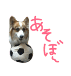 まいにちピーチ（個別スタンプ：18）