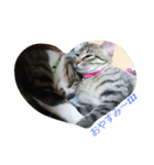 cute！！！！！（個別スタンプ：2）