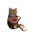 猫のいる暮らし（個別スタンプ：2）