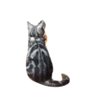 猫のいる暮らし（個別スタンプ：8）