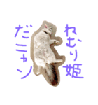 シロニャンコちゃん（個別スタンプ：4）
