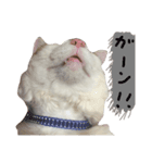 デブねこのつぶやき（個別スタンプ：3）