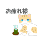 猫ぶう（個別スタンプ：4）