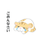 猫ぶう（個別スタンプ：5）