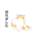 猫ぶう（個別スタンプ：13）