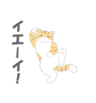 猫ぶう（個別スタンプ：16）