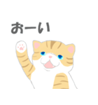 猫ぶう（個別スタンプ：17）