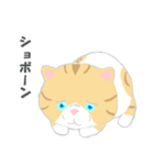 猫ぶう（個別スタンプ：21）