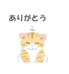 猫ぶう（個別スタンプ：25）