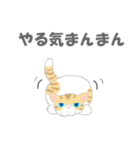 猫ぶう（個別スタンプ：27）