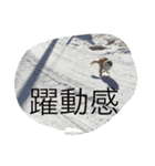 美犬でおなじみ、さくらです（個別スタンプ：9）