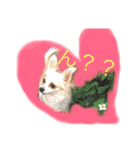 美犬でおなじみ、さくらです（個別スタンプ：13）