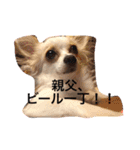 美犬でおなじみ、さくらです（個別スタンプ：15）