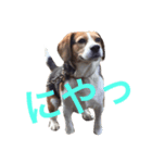 面白犬②（個別スタンプ：8）