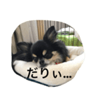 Chiwata Stump（個別スタンプ：6）