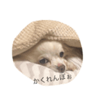 こゆっこちゃん（個別スタンプ：2）
