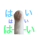 そらの手も借りたい！（個別スタンプ：3）