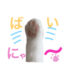 そらの手も借りたい！（個別スタンプ：6）