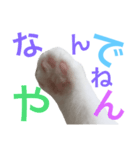 そらの手も借りたい！（個別スタンプ：8）