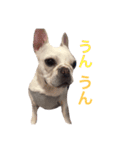 フレブルのアメちゃん（個別スタンプ：2）