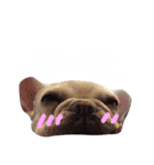 フレブルのアメちゃん（個別スタンプ：3）