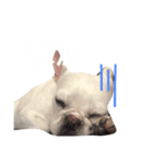 フレブルのアメちゃん（個別スタンプ：7）