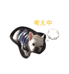フレブルのアメちゃん（個別スタンプ：10）