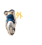 フレブルのアメちゃん（個別スタンプ：14）