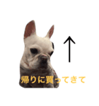 フレブルのアメちゃん（個別スタンプ：16）