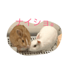 中村家 その1（個別スタンプ：3）