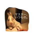 中村家 その1（個別スタンプ：4）
