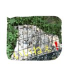 ひなそうぷーあく（個別スタンプ：6）