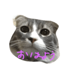 まんたとぶんた（個別スタンプ：1）