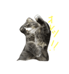 まんたとぶんた（個別スタンプ：6）