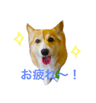 まぁるのスタンプ♡（個別スタンプ：2）