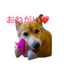 まぁるのスタンプ♡（個別スタンプ：5）