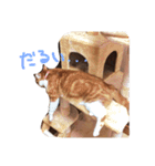 のびのびちゃ猫スタンプ（個別スタンプ：2）