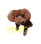 ソイくんスタンプ（個別スタンプ：7）