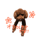 ソイくんスタンプ（個別スタンプ：10）