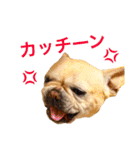 フレブル ななちゃん（個別スタンプ：3）