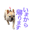 フレブル ななちゃん（個別スタンプ：4）