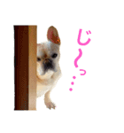 フレブル ななちゃん（個別スタンプ：5）